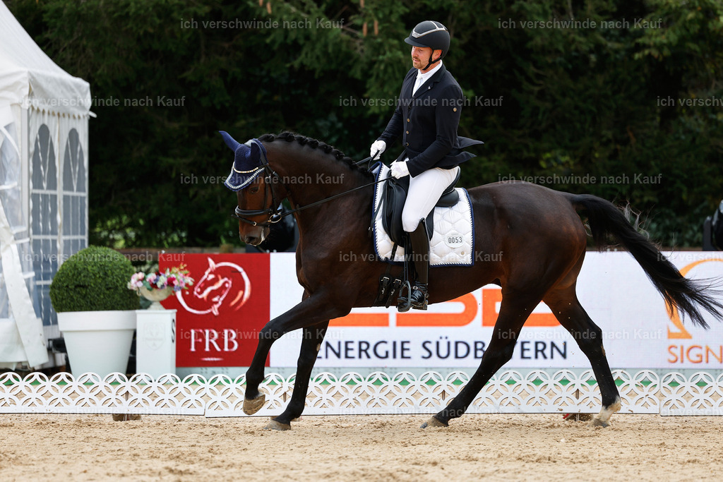 02-053-DRESSUR L_  -StoibPH-4694 | working equitationturnier fotograf videograf stoibphotography marixx film working equitation deutschland reitsport turnierfotografie eventfotografie equestrian events