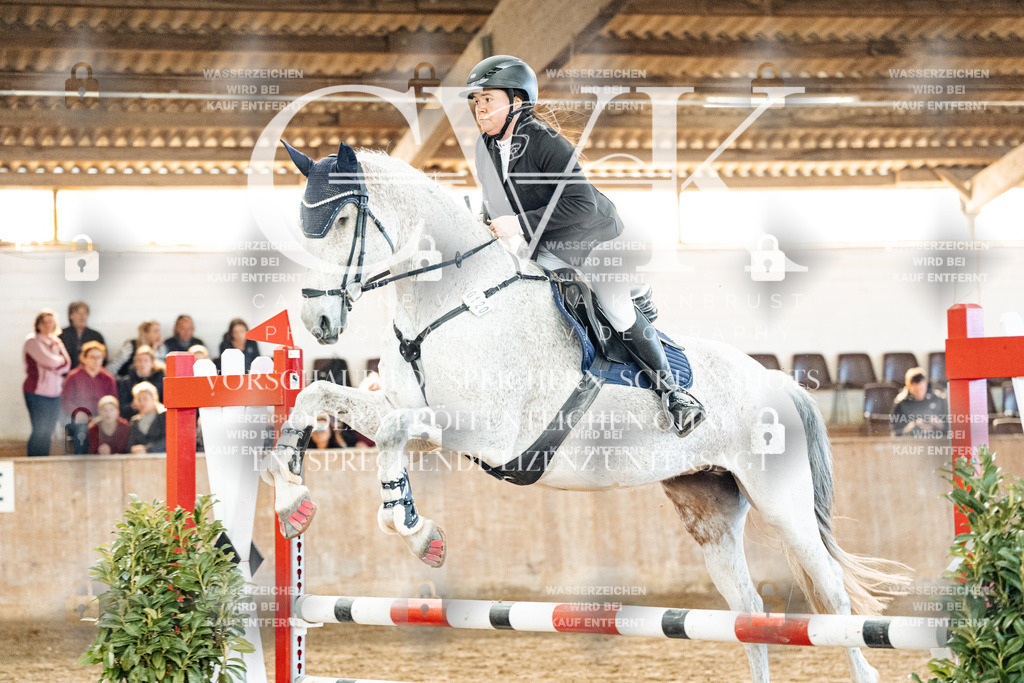 CK904355 | Turnierfotografie Pferdefotografie Trier Rheinland-Pfalz Pferdesport Reitsport Tierfotografie Sportfotografie Pferdevideo Pferdevideografie Equestrianvideography equestrianphotography  - Realized with Pictrs.com