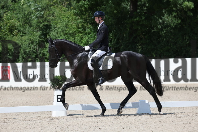 Weilheim_2025_Prfg.Nr.24_Reitpferdeprüfung_Tristan rückert_Ilario 8 (5) | Alle Fotos der Reiterjournal Fotografin Doris Matthaes im Reiterjournal Online-Fotoshop. - Realisiert mit Pictrs.com
