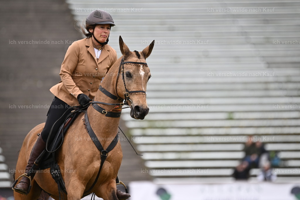 PI26_DR_Show_Sara_Landvogt_226_0719.JPG | working equitationturnier fotograf videograf stoibphotography marixx film working equitation deutschland reitsport turnierfotografie eventfotografie equestrian events