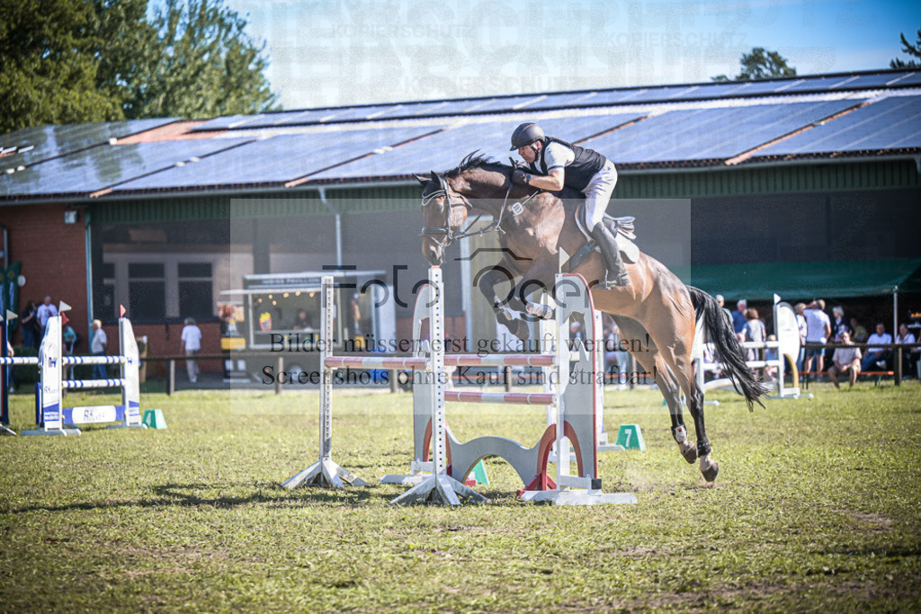 DOS_0597 | Entdecke hochwertige Reitturnierfotos von Foto Oger. Professionell, emotional und authentisch – jetzt Lieblingsmomente im Shop bestellen.Deutschlandweite Turnierfotografie. - Realisiert mit Pictrs.com