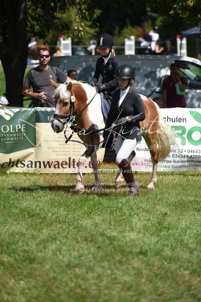 DSC_9836 | Pferde- und Turnierfotografie in Westsachsen. Pferdeportraits, Auftragszeichnungen und intuitive Kunst.
