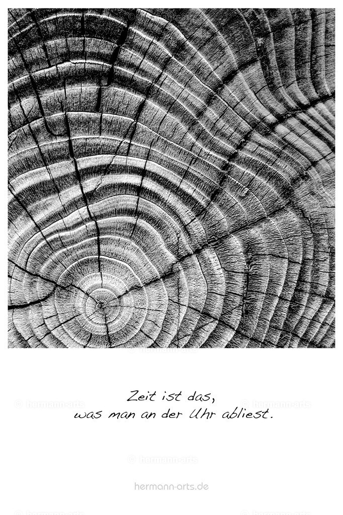 PK_Zitate_10x15_BW-030 | Photo Foto Kunst Art schwarzweiss Bilder Rheine Münster Berlin Blumen 