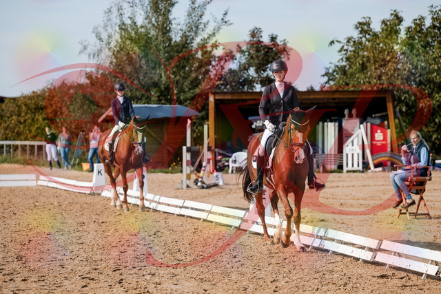 2026_10_03_Siefer-Hof_132909_Z63_91101133 | Professionelle Reitsport-, Turnier- und Eventfotografie von Robert Broda. Galerien mit ausgewählten und bearbeiteten Bildern direkt online ansehen und bestellen.