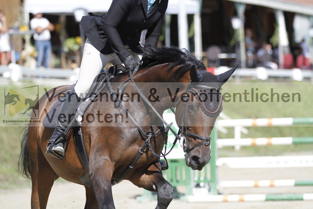 _MG_8093 | equestrian-live-com