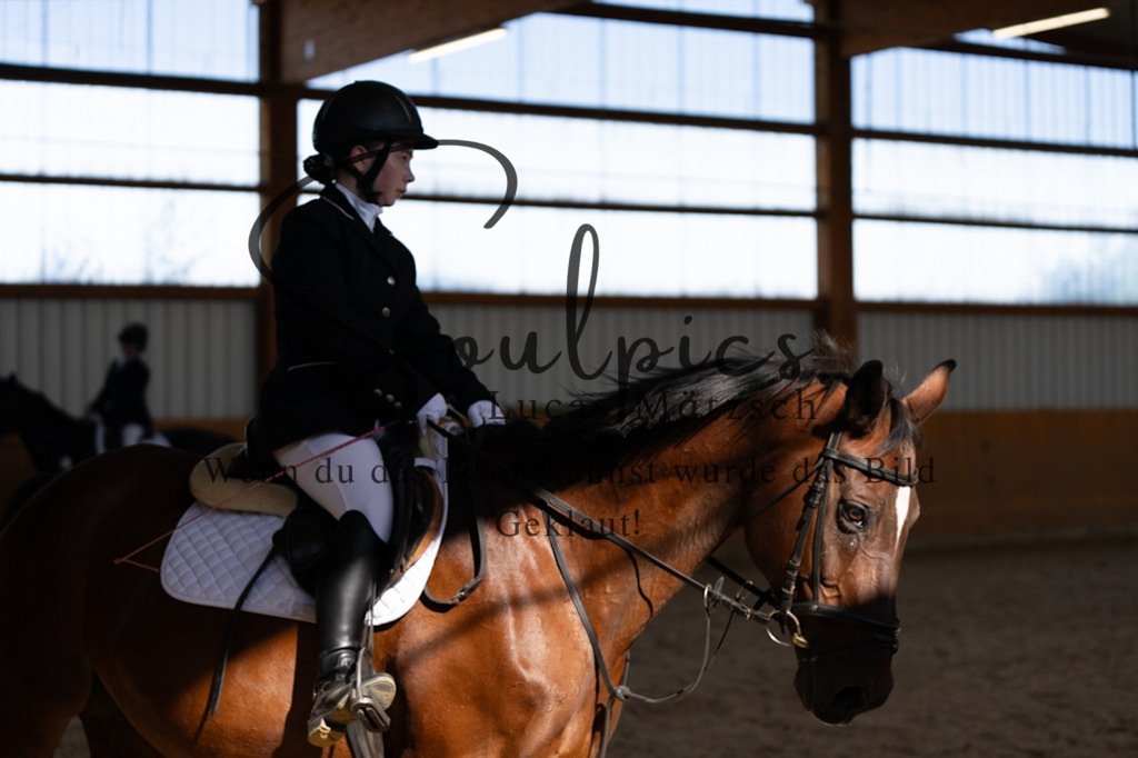 A7V02176 | Turnier/Reitfotograf