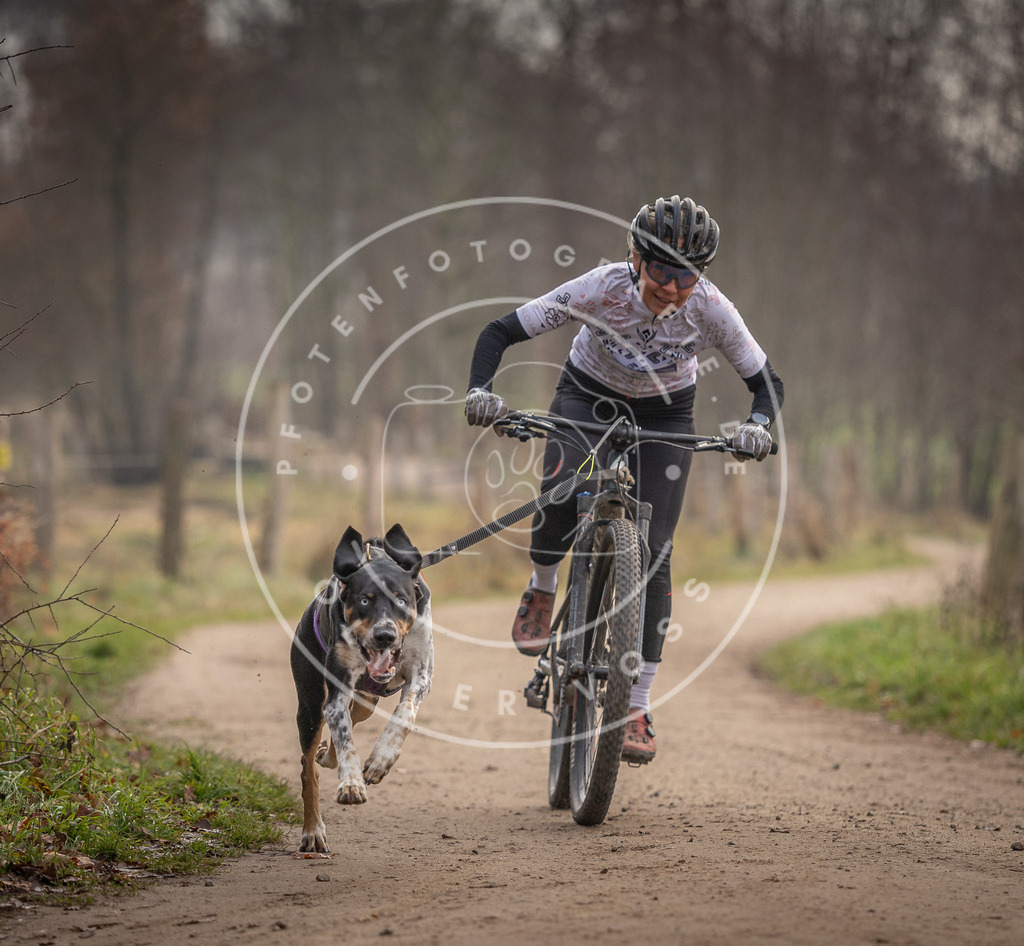Pfotenfotografie_DV3A1614 | Hundefotografie, Tierfotograf, Pfotenfotografie, Fotoshooting Hund, Hunde Portrait, Hundesport, Hundeportraits, Heideshooting, Hunde, Sportfotograf, Hundefotograf, Turnierhundsport, THS,  - Realisiert mit Pictrs.com