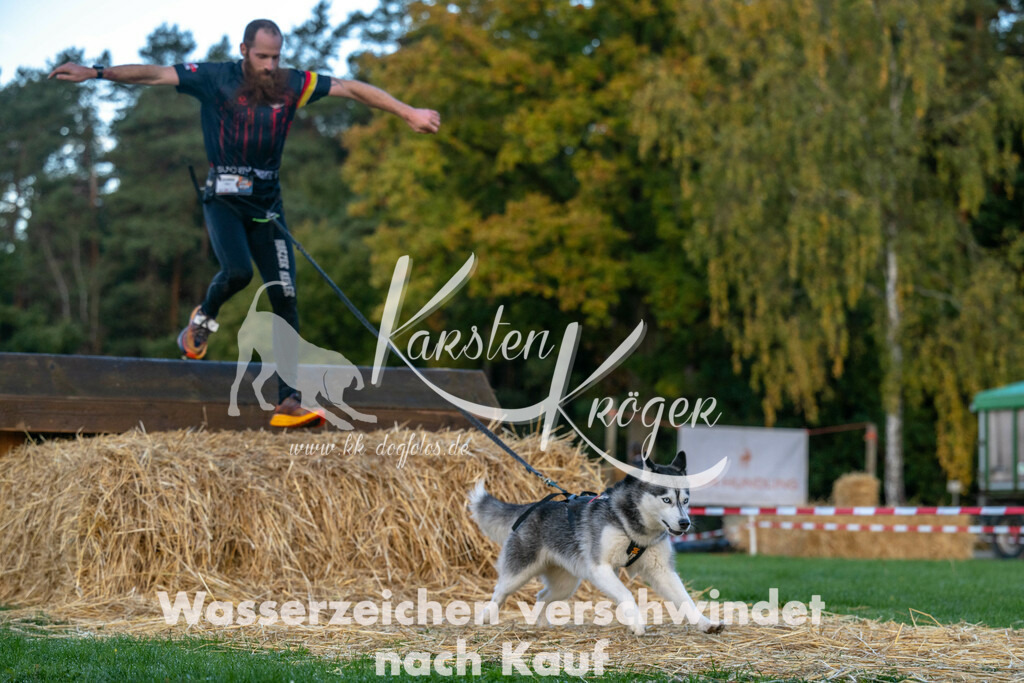 0841_ZZ91186 | kk-dogfotos