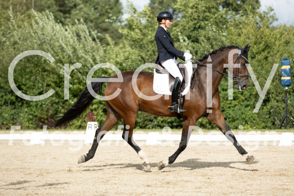 IMG_7012 | Creatify Fotografie