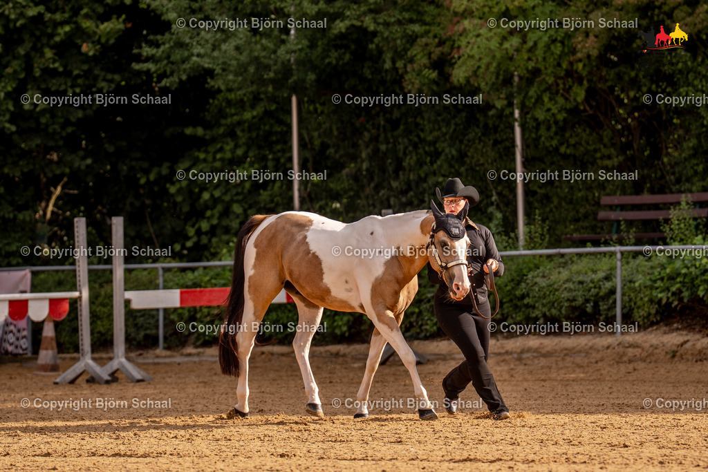 LMS06595 | BS-foto