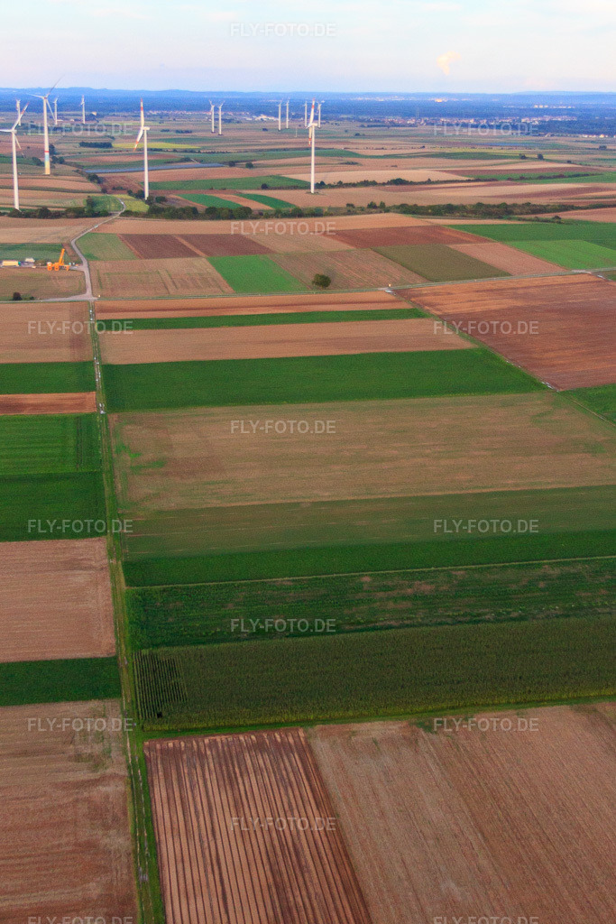 Luftbild: Windpark Offenbach in Offenbach an der Queich im Bundesland Rheinland-Pfalz in Deutschland. Foto: IMG_71304.jpg vom 27.08.2014 durch Werner Riehm/FLY-FOTO.de