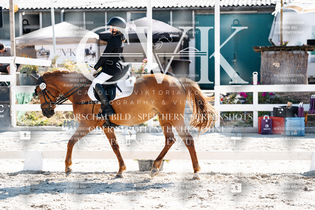 CK903017 | Turnierfotografie Pferdefotografie Trier Rheinland-Pfalz Pferdesport Reitsport Tierfotografie Sportfotografie Pferdevideo Pferdevideografie Equestrianvideography equestrianphotography  - Realisiert mit Pictrs.com