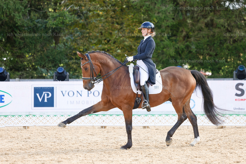 09_2-001-DRESSUR  S_  -StoibPH-5805 | working equitationturnier fotograf videograf stoibphotography marixx film working equitation deutschland reitsport turnierfotografie eventfotografie equestrian events