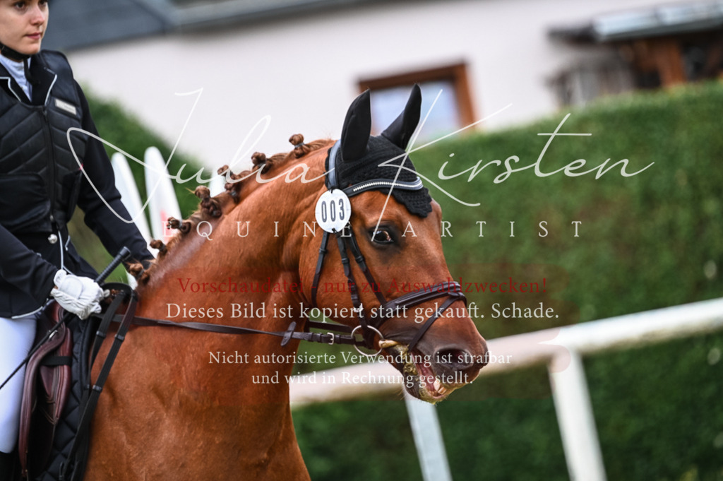 DSC_8187 | Pferde- und Turnierfotografie in Westsachsen. Pferdeportraits, Auftragszeichnungen und intuitive Kunst.