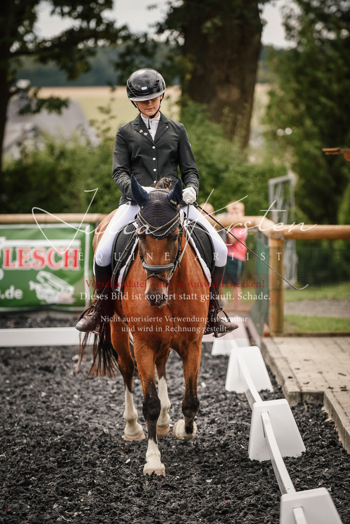 DSC_4528 | Pferde- und Turnierfotografie in Westsachsen. Pferdeportraits, Auftragszeichnungen und intuitive Kunst.