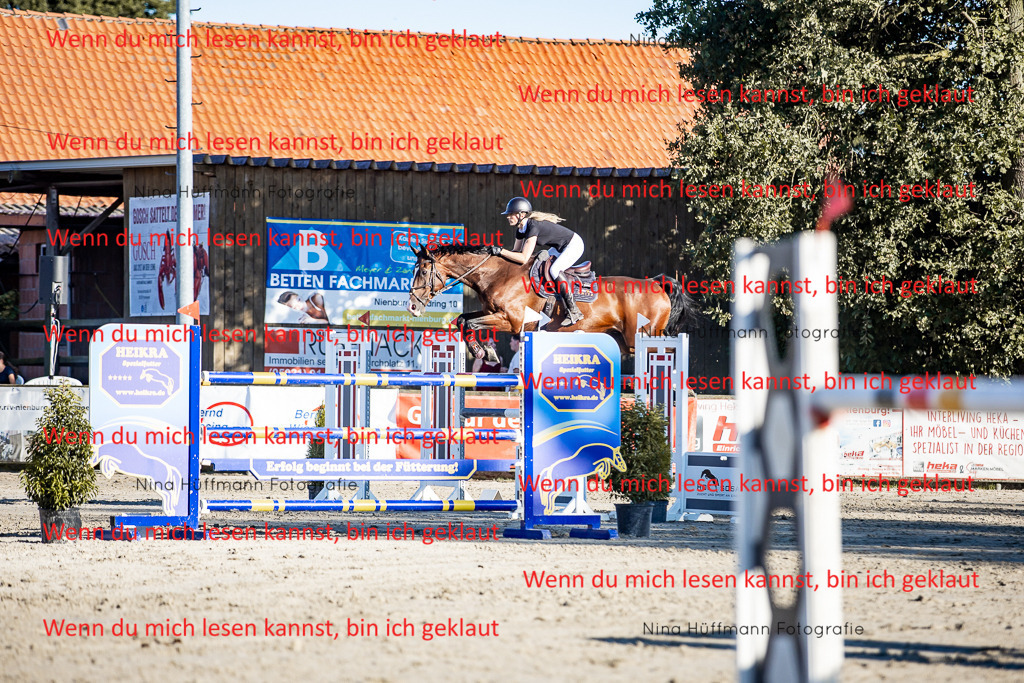 BK1A8329 | Turnierbilder Turnierfotos Nina Hüffmann Turnierfotografie Pferdefotografie Tierzeichnung Haustierzeichnung Pferdezeichnung Hundezeichnung Videograf  - Realisiert mit Pictrs.com
