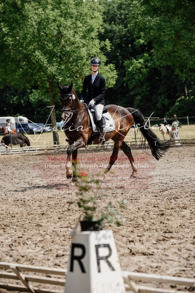 DSC_0845 | Pferde- und Turnierfotografie in Westsachsen. Pferdeportraits, Auftragszeichnungen und intuitive Kunst.