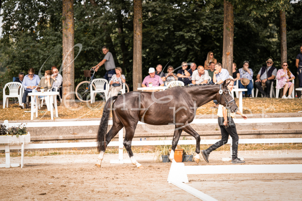 7.Fr00093 | Leoni Ertmer Photography - Realisiert mit Pictrs.com