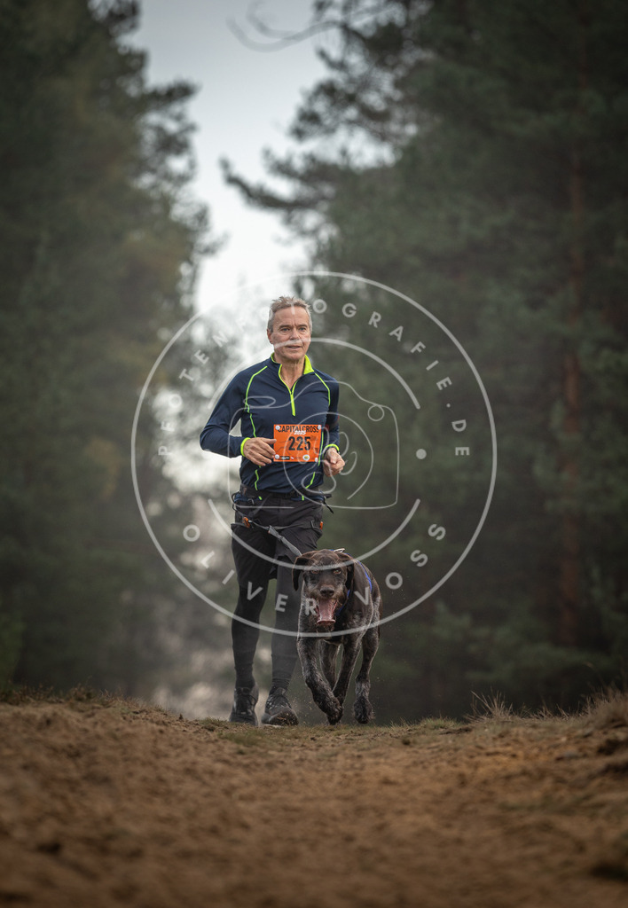 Pfotenfotografie_DV3A5411 | Hundefotografie, Tierfotograf, Pfotenfotografie, Fotoshooting Hund, Hunde Portrait, Hundesport, Hundeportraits, Heideshooting, Hunde, Sportfotograf, Hundefotograf, Turnierhundsport, THS,  - Realisiert mit Pictrs.com