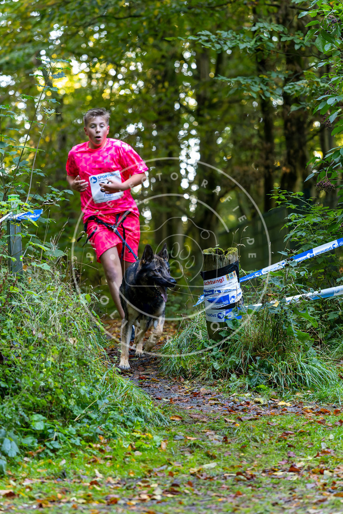 Pfotenfotografie_DV3A7567 | Hundefotografie, Tierfotograf, Pfotenfotografie, Fotoshooting Hund, Hunde Portrait, Hundesport, Hundeportraits, Heideshooting, Hunde, Sportfotograf, Hundefotograf, Turnierhundsport, THS,  - Realisiert mit Pictrs.com