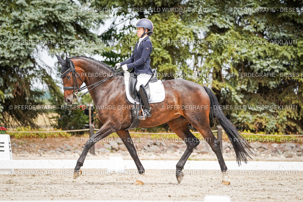 DSC05614 | Pferdegrafie