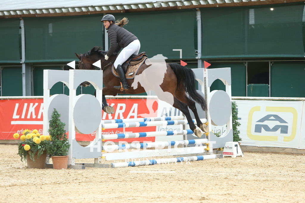 DL2Q0949 | Willkommen bei Brunnmayr - Design & Fotografie – Ihrem Spezialisten für Reitturniere und Pferdeveranstaltungen in Oberösterreich, Salzburg und Bayern! Seit über 17 Jahren sind wir leidenschaftlich dabei.