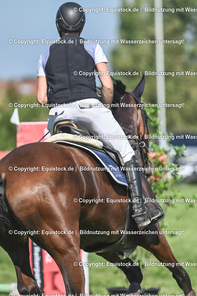 20230908_21_Punktespringen_M_0187 | equistock