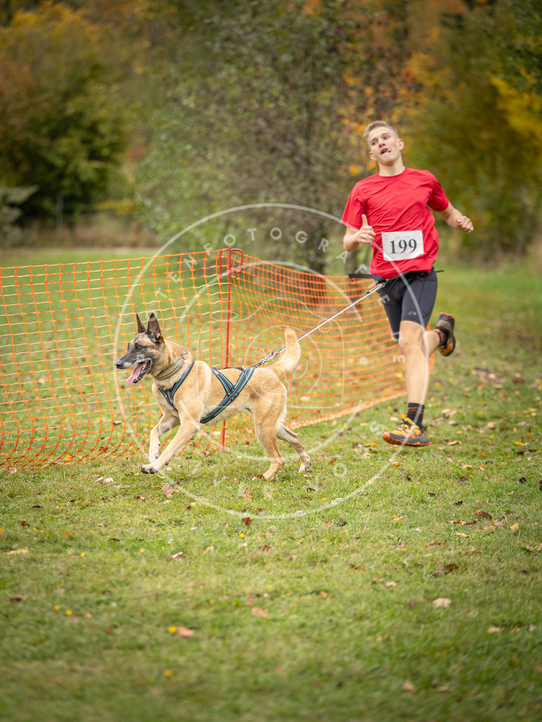 Pfotenfotografie_DV3A3817 | Hundefotografie, Tierfotograf, Pfotenfotografie, Fotoshooting Hund, Hunde Portrait, Hundesport, Hundeportraits, Heideshooting, Hunde, Sportfotograf, Hundefotograf, Turnierhundsport, THS,  - Realisiert mit Pictrs.com