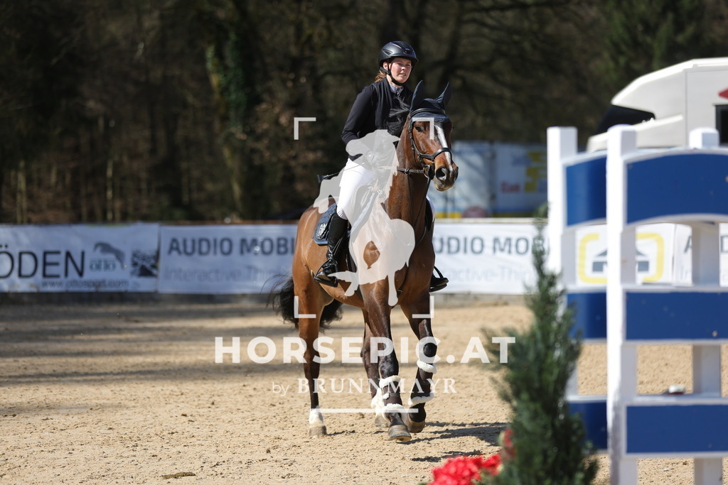 0P6A7513 | Willkommen bei Brunnmayr - Design & Fotografie – Ihrem Spezialisten für Reitturniere und Pferdeveranstaltungen in Oberösterreich, Salzburg und Bayern! Seit über 17 Jahren sind wir leidenschaftlich dabei.