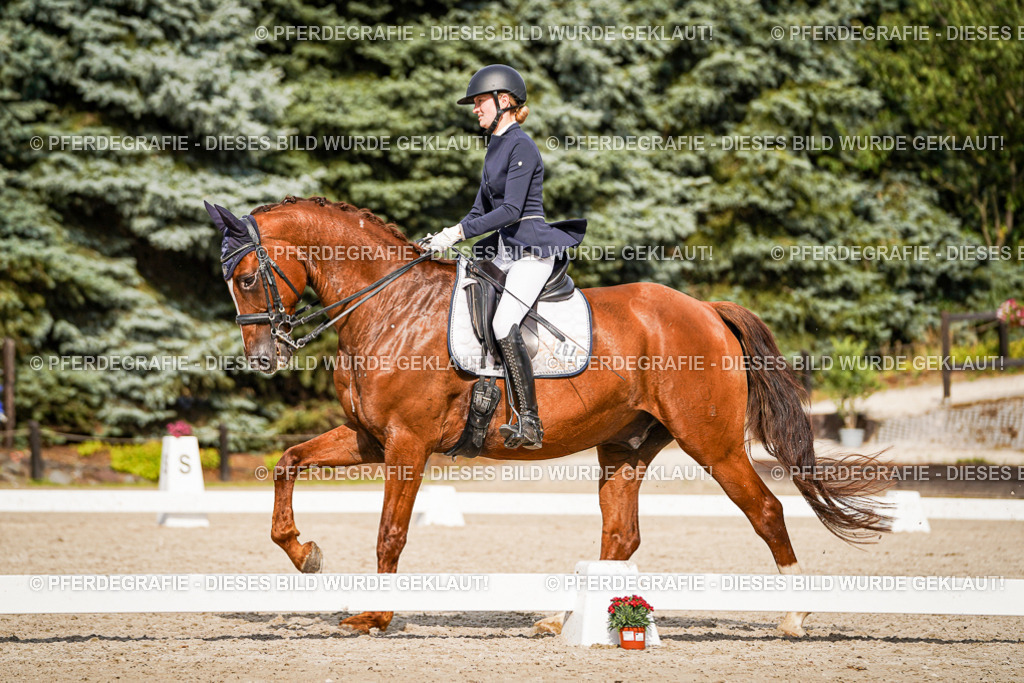 DSC07422 | Pferdegrafie