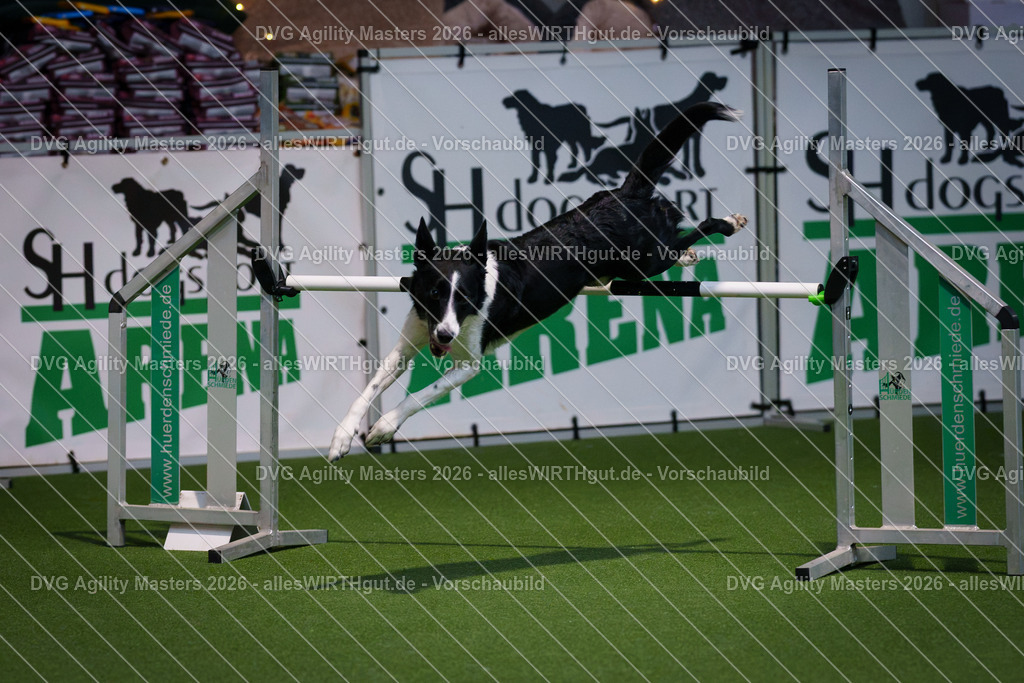 allesWIRTHgut_Tierfotografie-DVG_Agility_Masters_2026-14_35-7R500738 | Professionelle Tierfotografie in Mönchengladbach von Daniel Wirth (allesWIRTHgut). Liebevolle & natürliche Bilder von Hunden & Katzen für unvergessliche Erinnerungen.