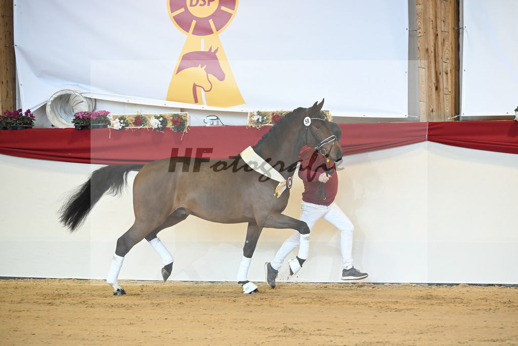 Kat-Nr. 59 Fuerst Samarant_Reesink Horses_1231954 | hf-fotografie - Realisiert mit Pictrs.com