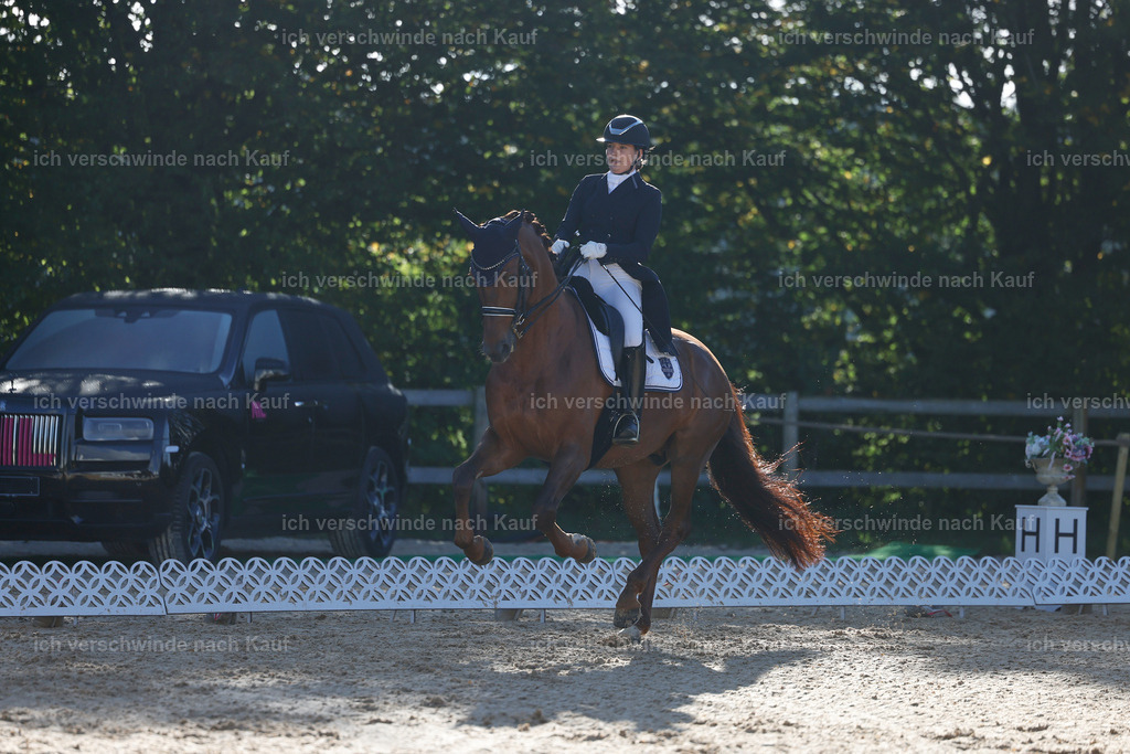 09_1-143-DRESSUR  S_  -StoibPH-5565 | working equitationturnier fotograf videograf stoibphotography marixx film working equitation deutschland reitsport turnierfotografie eventfotografie equestrian events