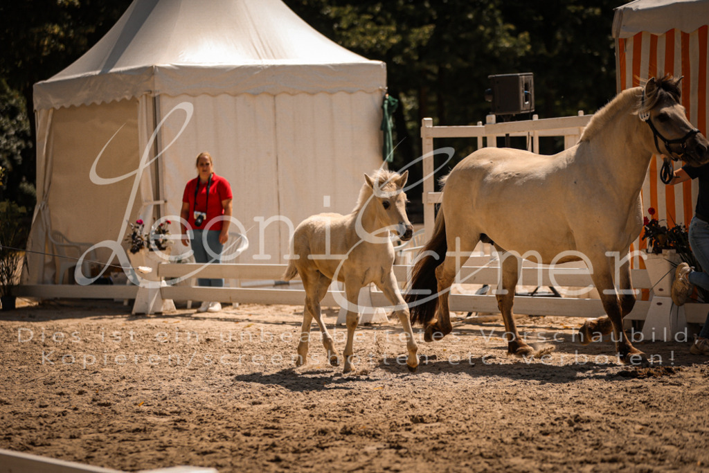 05.DoF00061 | Leoni Ertmer Photography - Realisiert mit Pictrs.com