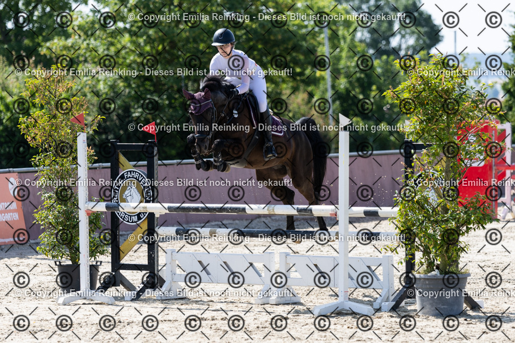 CL5A3104 | Emilia Reinking Fotografie - Realisiert mit Pictrs.com