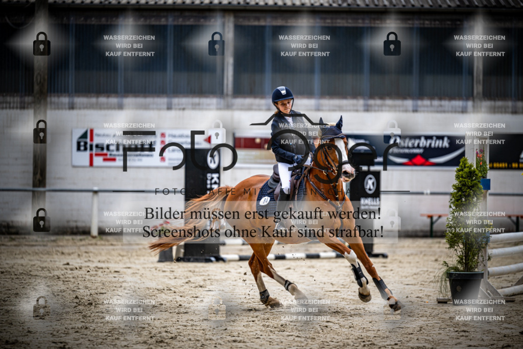 Turnier Laggenbeck 2026-15-0243 | Entdecke hochwertige Reitturnierfotos von Foto Oger. Professionell, emotional und authentisch – jetzt Lieblingsmomente im Shop bestellen.Deutschlandweite Turnierfotografie. - Realisiert mit Pictrs.com