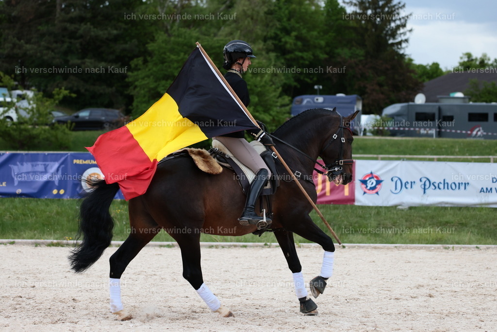 PI26_ST_StoibphotographyC2_L9314.JPG | working equitationturnier fotograf videograf stoibphotography marixx film working equitation deutschland reitsport turnierfotografie eventfotografie equestrian events