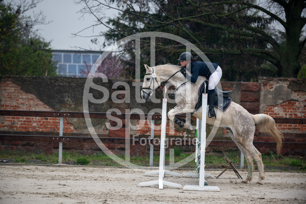 DSC_8786 | sattelsport - Realisiert mit Pictrs.com