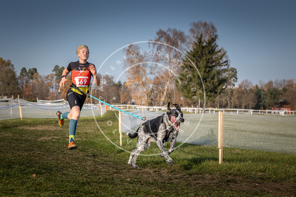CaniXpix_0L8A9487 | Hundefotografie, Tierfotograf, Pfotenfotografie, Fotoshooting Hund, Hunde Portrait, Hundesport, Hundeportraits, Heideshooting, Hunde, Sportfotograf, Hundefotograf, Turnierhundsport, THS,  - Realisiert mit Pictrs.com