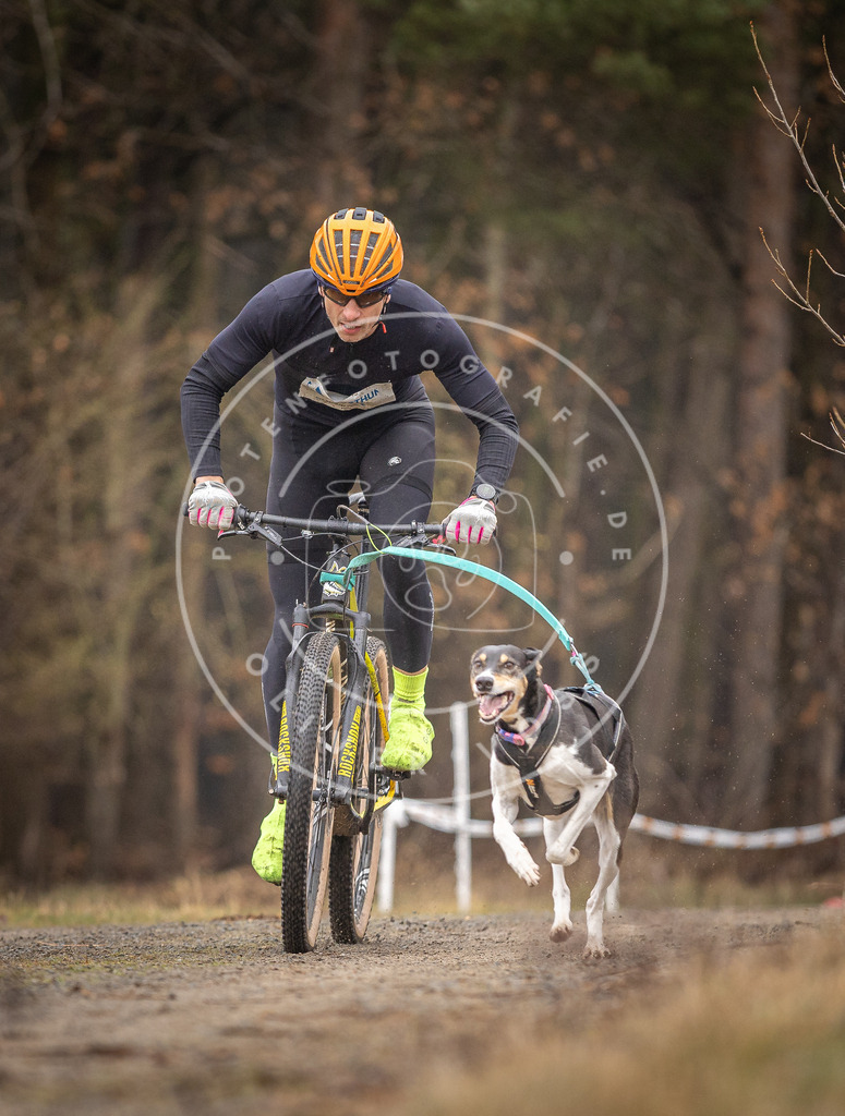 DV3A3183 | Hundefotografie, Tierfotograf, Pfotenfotografie, Fotoshooting Hund, Hunde Portrait, Hundesport, Hundeportraits, Heideshooting, Hunde, Sportfotograf, Hundefotograf, Turnierhundsport, THS,  - Realisiert mit Pictrs.com
