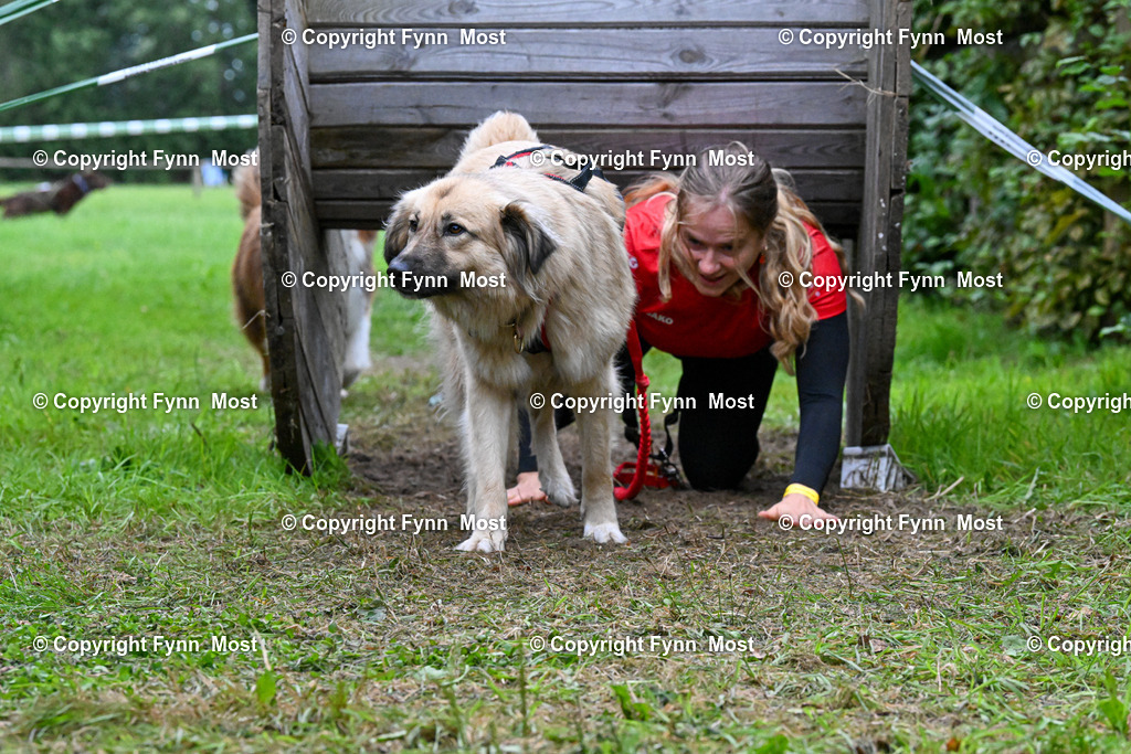 DSC_9972 | Hallo und herzlich Willkommen auf meiner Shop-Seite Fynn Most.

Ich wünsche Dir viel Spaß beim stöbern durch die Bilder, wenn Du Fragen hast oder Bilder vermisst, kannst du mir gerne eine Nachricht schreiben. - Realisiert mit Pictrs.com