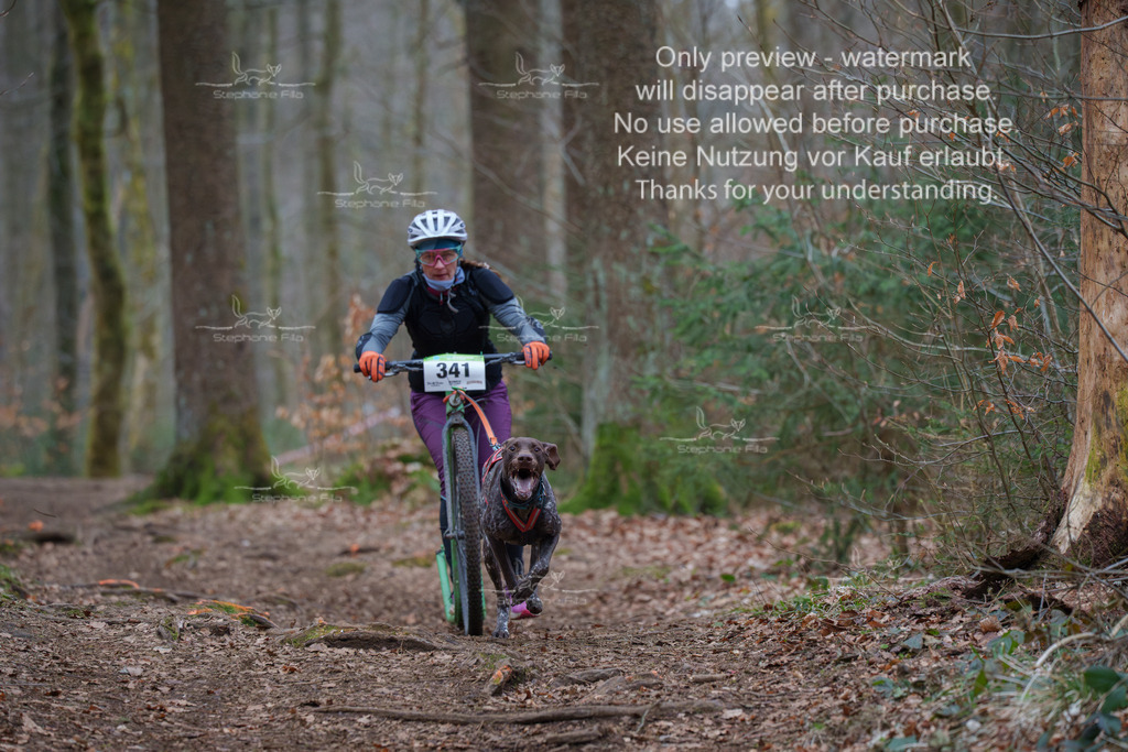 Scooter_So-65 | stephaniefillaphotographie - Realisiert mit Pictrs.com