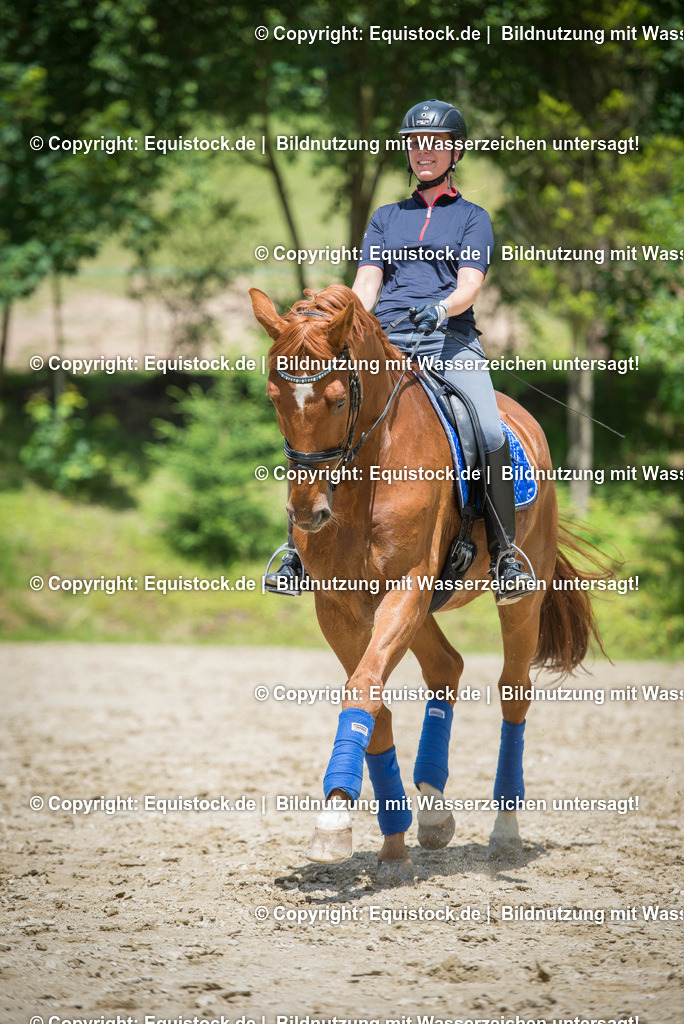 20160620_Training_0003 1 | Foto: Linda Balz