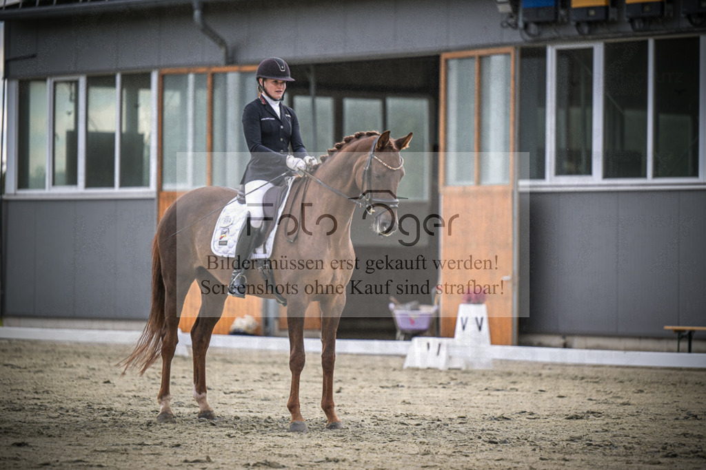 DOS_1685 | Entdecke hochwertige Reitturnierfotos von Foto Oger. Professionell, emotional und authentisch – jetzt Lieblingsmomente im Shop bestellen.Deutschlandweite Turnierfotografie. - Realized with Pictrs.com