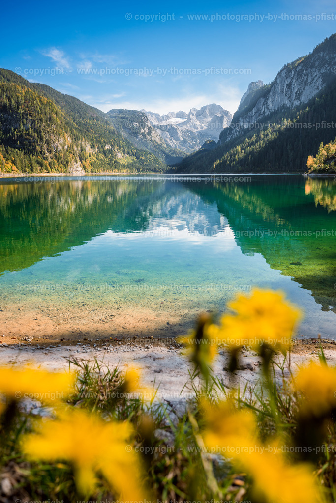 Gosausee Herbst copyright  Thomas Pfister-4 | PHOTOGRAPHY BY THOMAS PFISTER