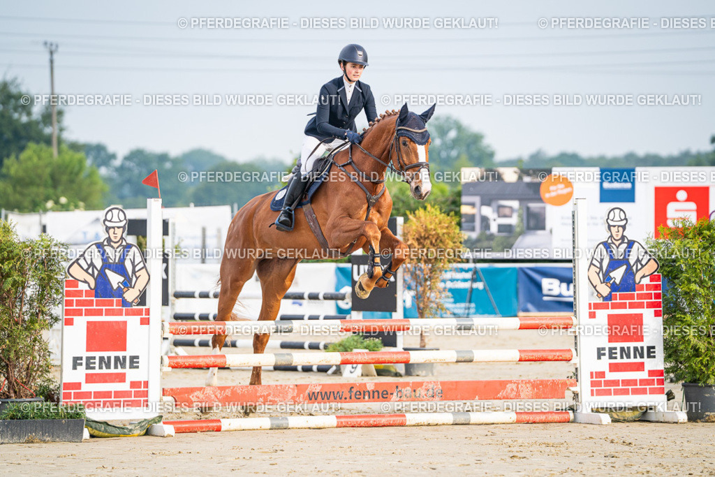 DSC07808 | Pferdegrafie