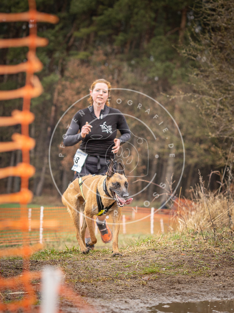 DV3A0527 | Hundefotografie, Tierfotograf, Pfotenfotografie, Fotoshooting Hund, Hunde Portrait, Hundesport, Hundeportraits, Heideshooting, Hunde, Sportfotograf, Hundefotograf, Turnierhundsport, THS,  - Realisiert mit Pictrs.com