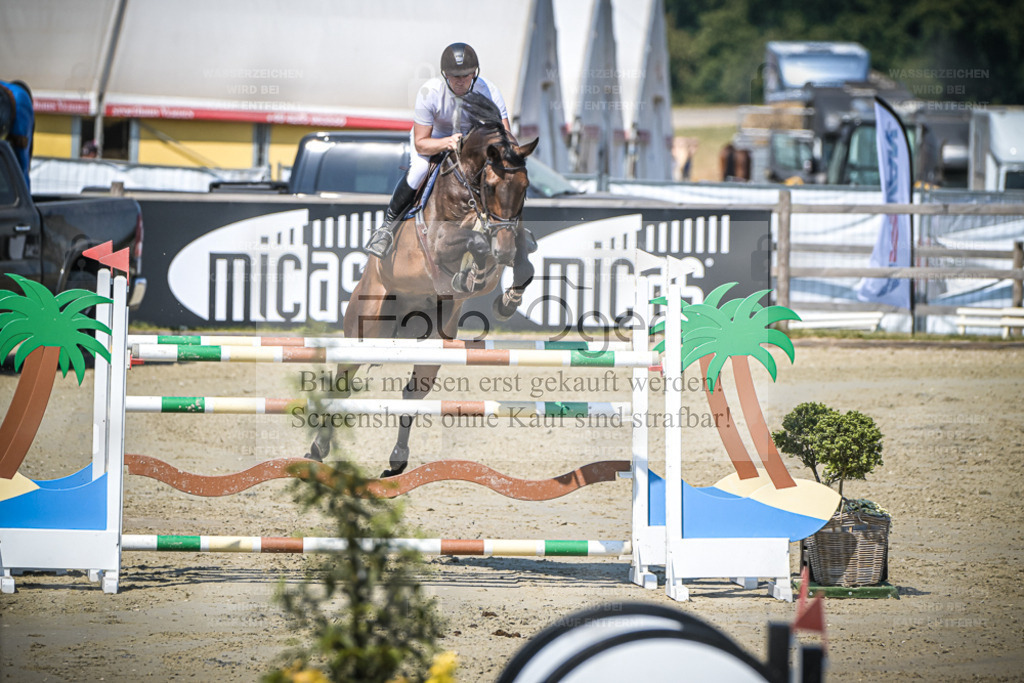 DOS_1708 | Entdecke hochwertige Reitturnierfotos von Foto Oger. Professionell, emotional und authentisch – jetzt Lieblingsmomente im Shop bestellen. - Realisiert mit Pictrs.com