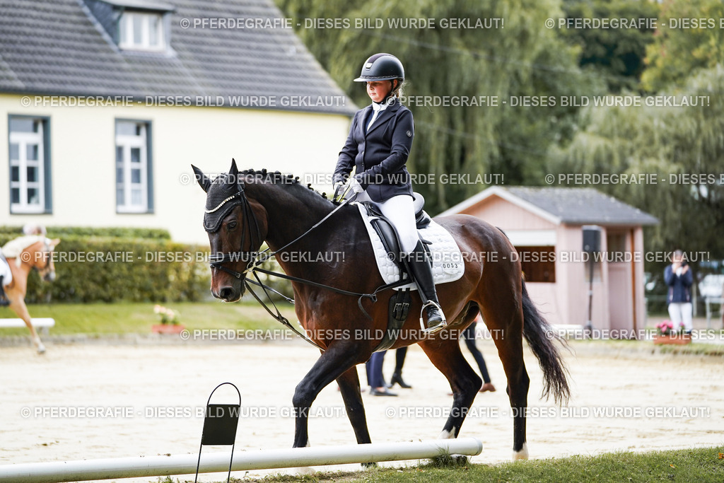 DSC04467 | Pferdegrafie