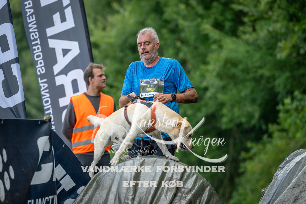 1156_ZZ90337 | kk-dogfotos